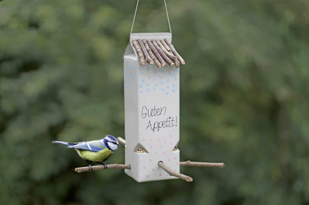 Rebecca Sommer / Naturkind Magazin 